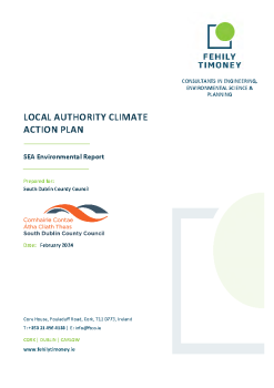 SEA Environmental Report summary image
