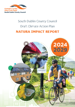 SDCC-Draft-CAP---Natura-Impact-Report summary image