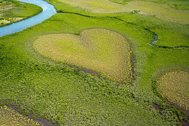 World Environment Day  sumamry image