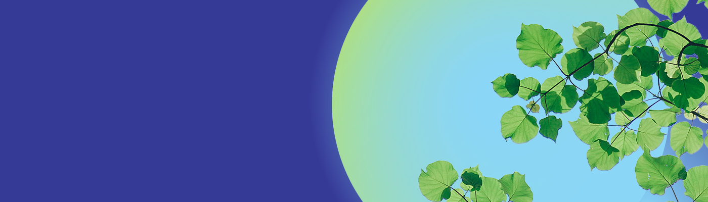 Environment_1600x400