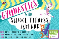 Summer Stars : School Fitness Ireland Gymnastics sumamry image