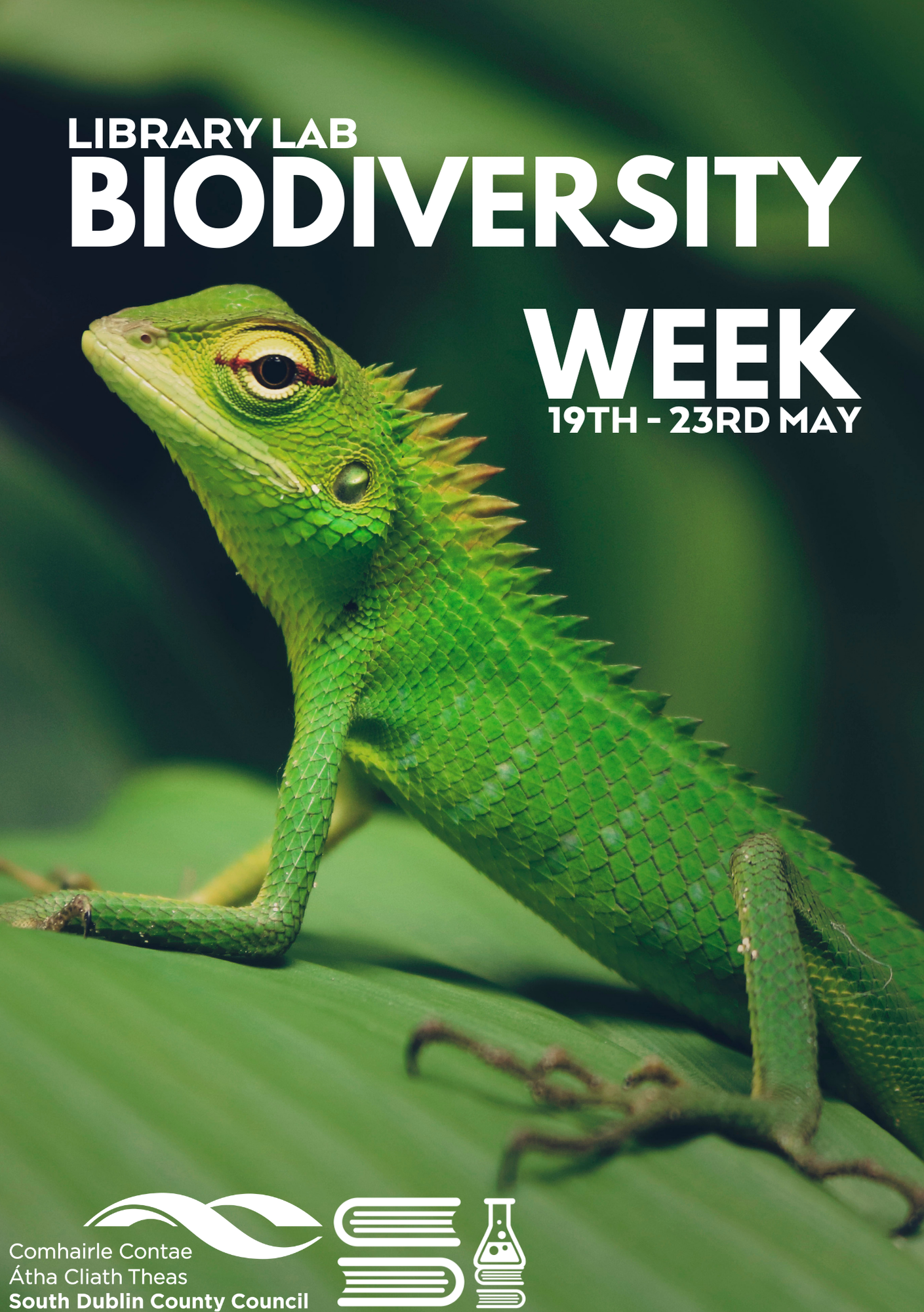  Biodiversity Week at South Dublin Libraries 18th–24th May 2025 sumamry image