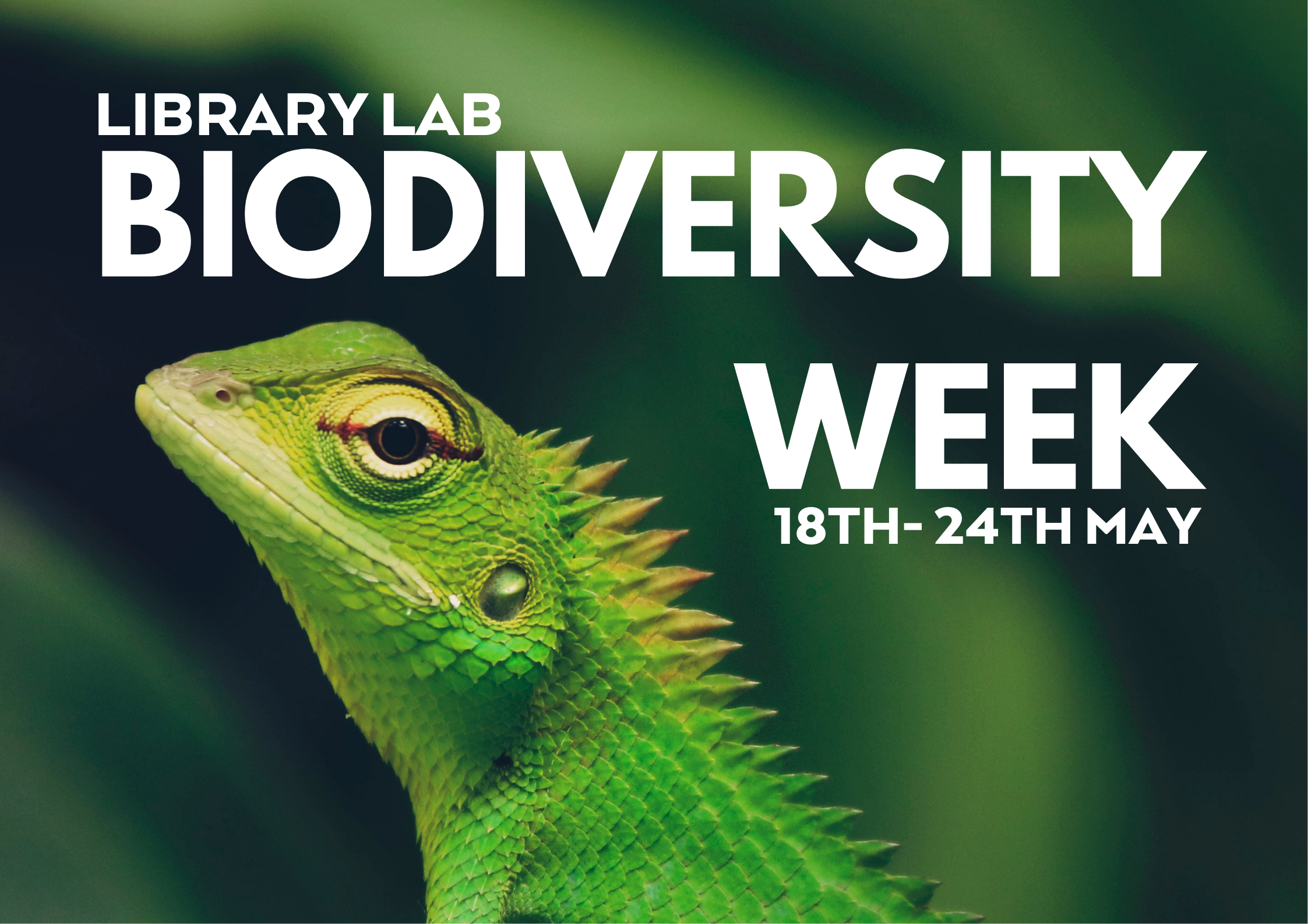  Biodiversity Week at South Dublin Libraries 18th–24th May 2025 sumamry image