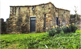 The Fascinating Follies of St. Enda's Park sumamry image