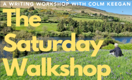 3 writing workshops with COLM KEEGAN along the River Dodder sumamry image