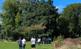 Native Tree Walk and Talk sumamry image