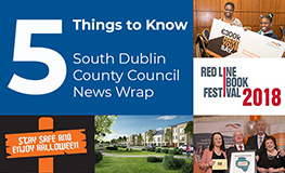 South Dublin County Council News Wrap sumamry image