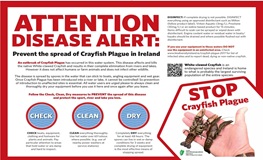 Outbreak of plague affecting crayfish confirmed at River Camac  sumamry image