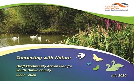 Draft Biodiversity Action Plan for South Dublin County sumamry image