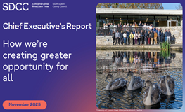 Chief Executive's Report - November 2025 sumamry image
