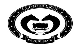 Clondalkin Equine Club Open Day at Clondalkin Summer Festival 2025 sumamry image