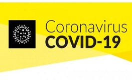 Coronavirus Covid-19 Information sumamry image