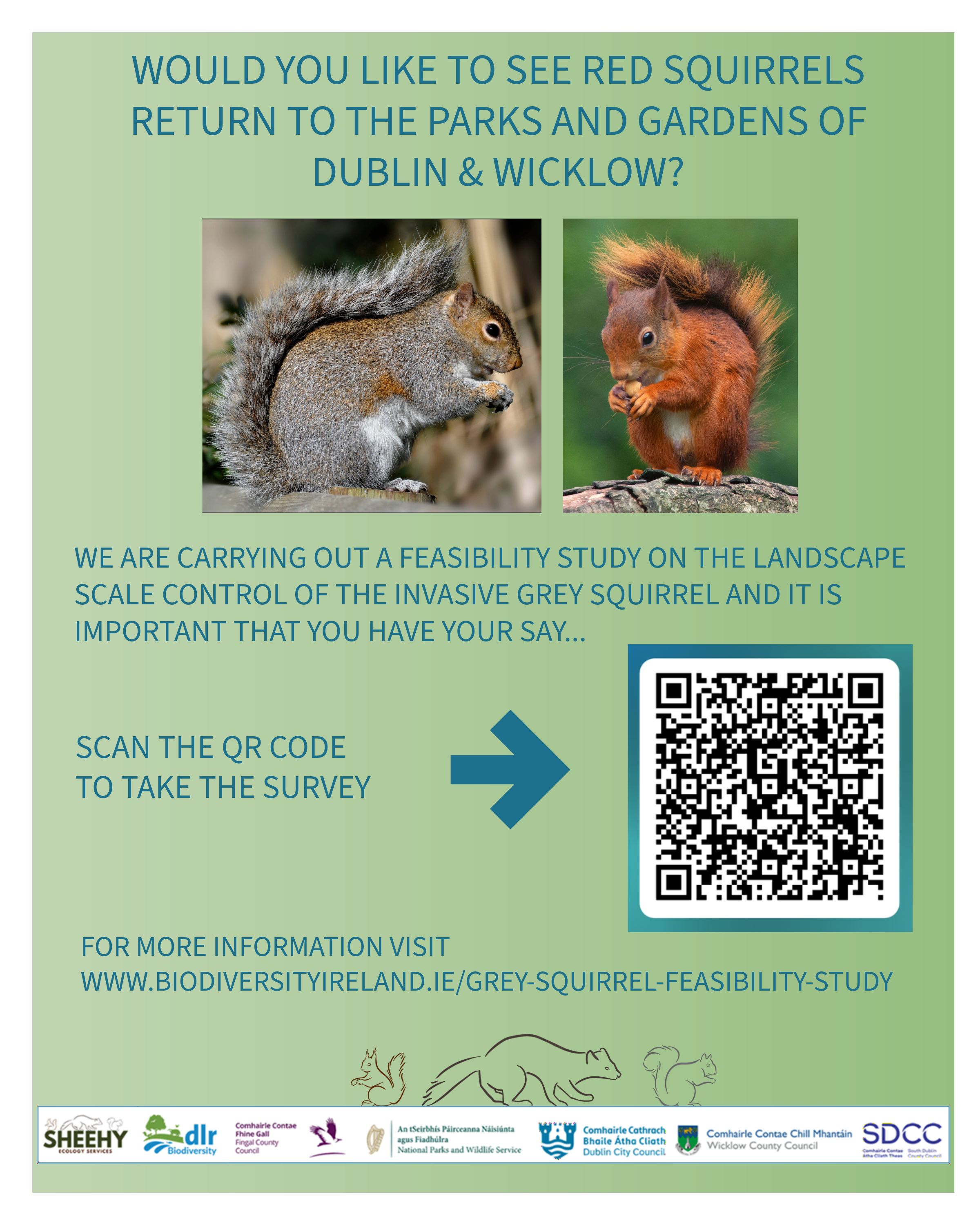 Grey Squirrel Feasibility Study – Public Consultation sumamry image