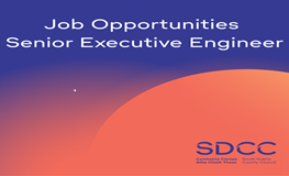Job Opportunities  - Senior Executive Engineer sumamry image