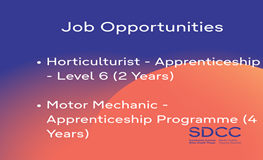 Job Opportunities  sumamry image