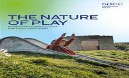 SDCC Play Policy sumamry image