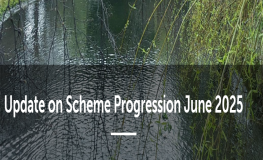 River Poddle: Update on Scheme Progression June 2025 sumamry image