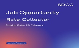 Job Advertisement sumamry image