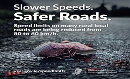 Reduced Speed Limit on local roads sumamry image