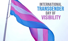 Council celebrates International Transgender Day of Visibility 2020  sumamry image