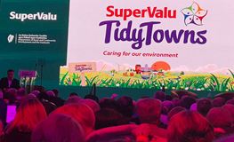 Tidy Towns Medal Winners sumamry image