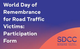 SAVE THE DATE: World Day of Remembrance for Road Traffic Victims sumamry image