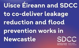 Uisce Éireann and SDCC to co-deliver leakage reduction and flood prevention works in Newcastle  sumamry image