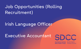 Job Opportunities: Irish Language Officer, Executive Accountant  sumamry image