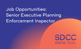 Job Opportunities: Senior Executive Planning Enforcement Inspector sumamry image