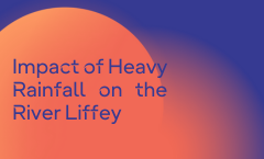 Impact of Heavy Rainfall on the River Liffey and Poulaphouca Reservoir sumamry image