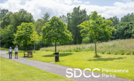 Planned closure of Tymon Park entrance and car park at Wellington Road sumamry image