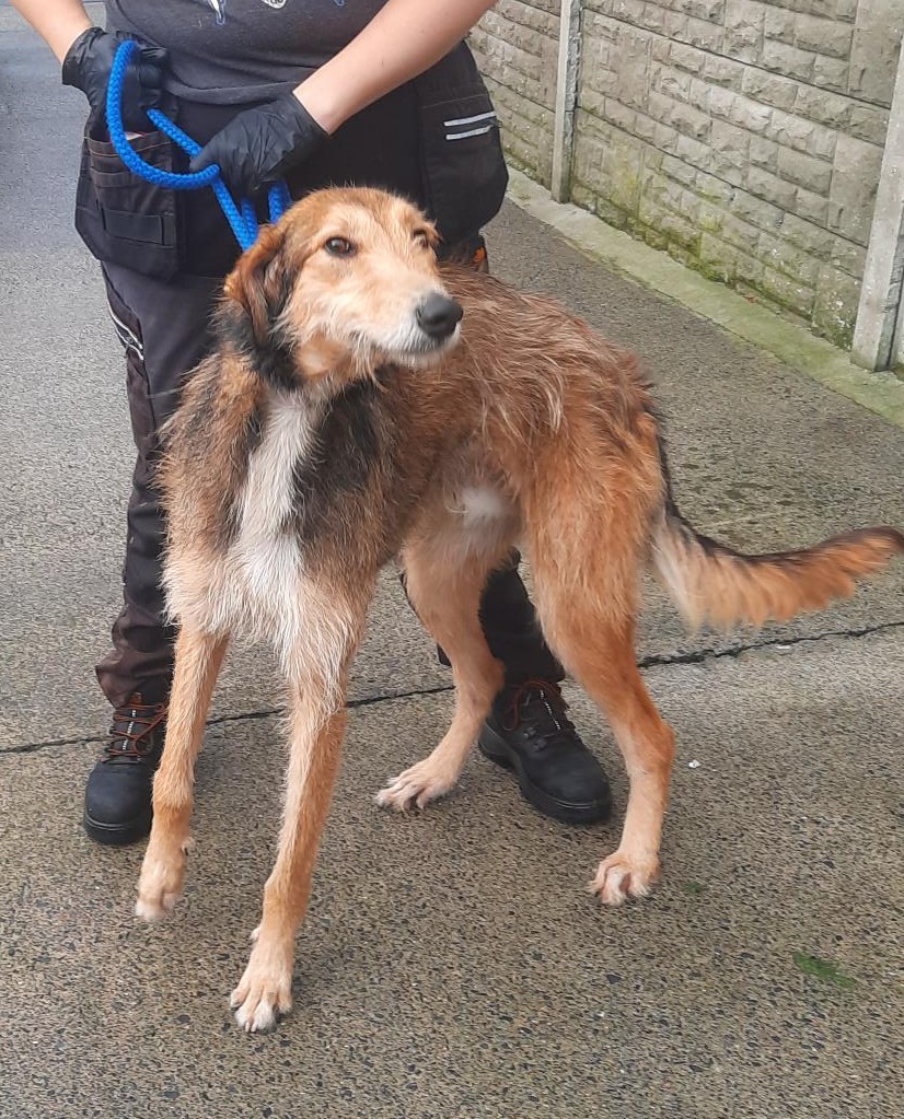 03-11-25-Belgard-Road-Tallaght