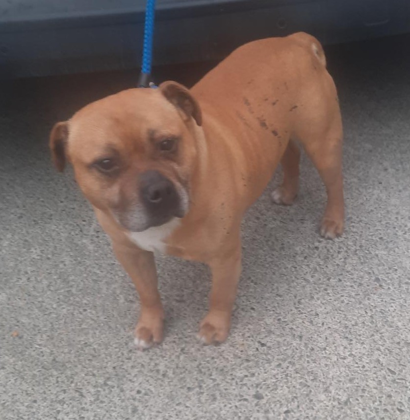 03-11-25-Cherryfield-Rd-Walkinstown-Copy