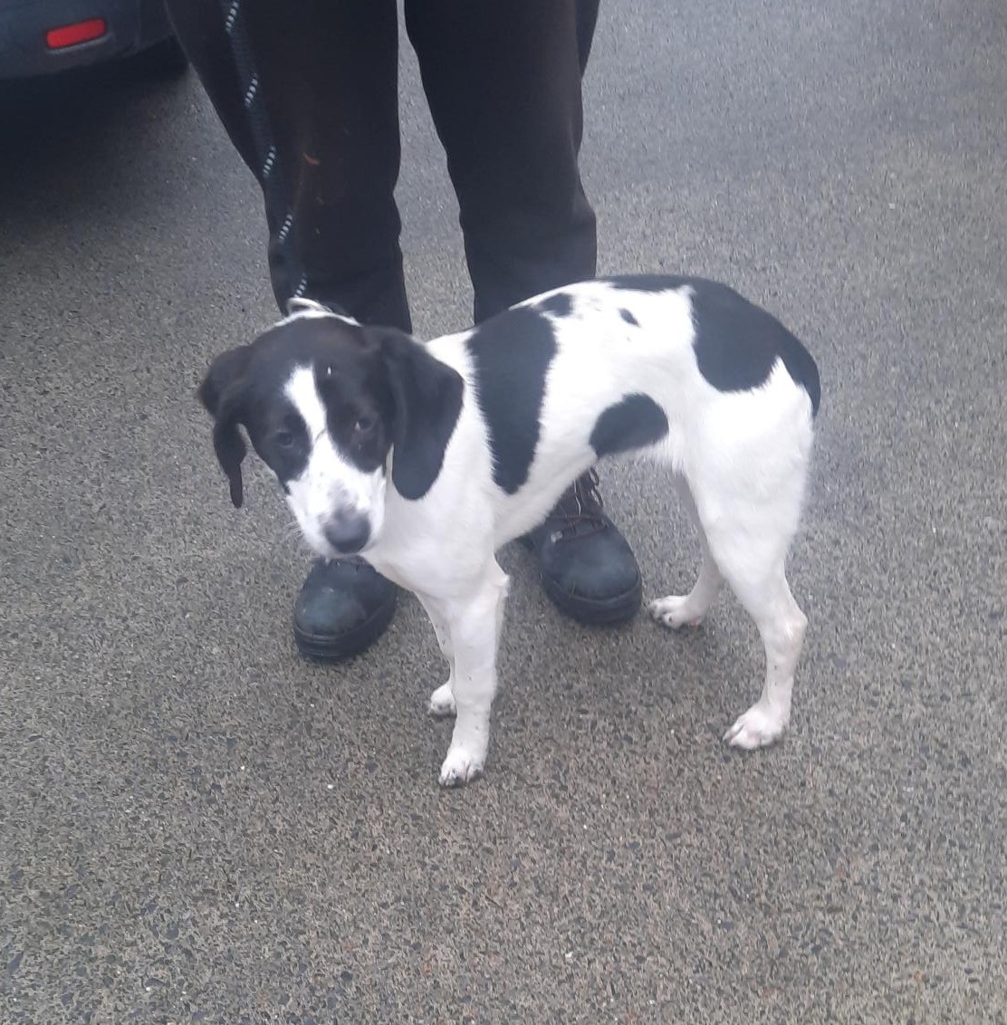 04-11-25-Parkleigh-Clondalkin