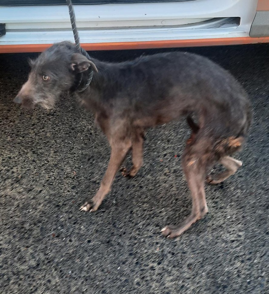 06-11-25-Jobstown-Fettercairn-