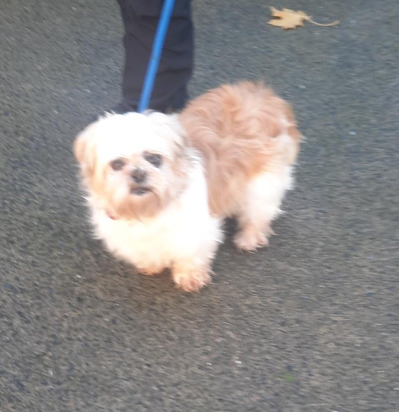 06-11-25-Swiftbrook-Tallaght-Copy