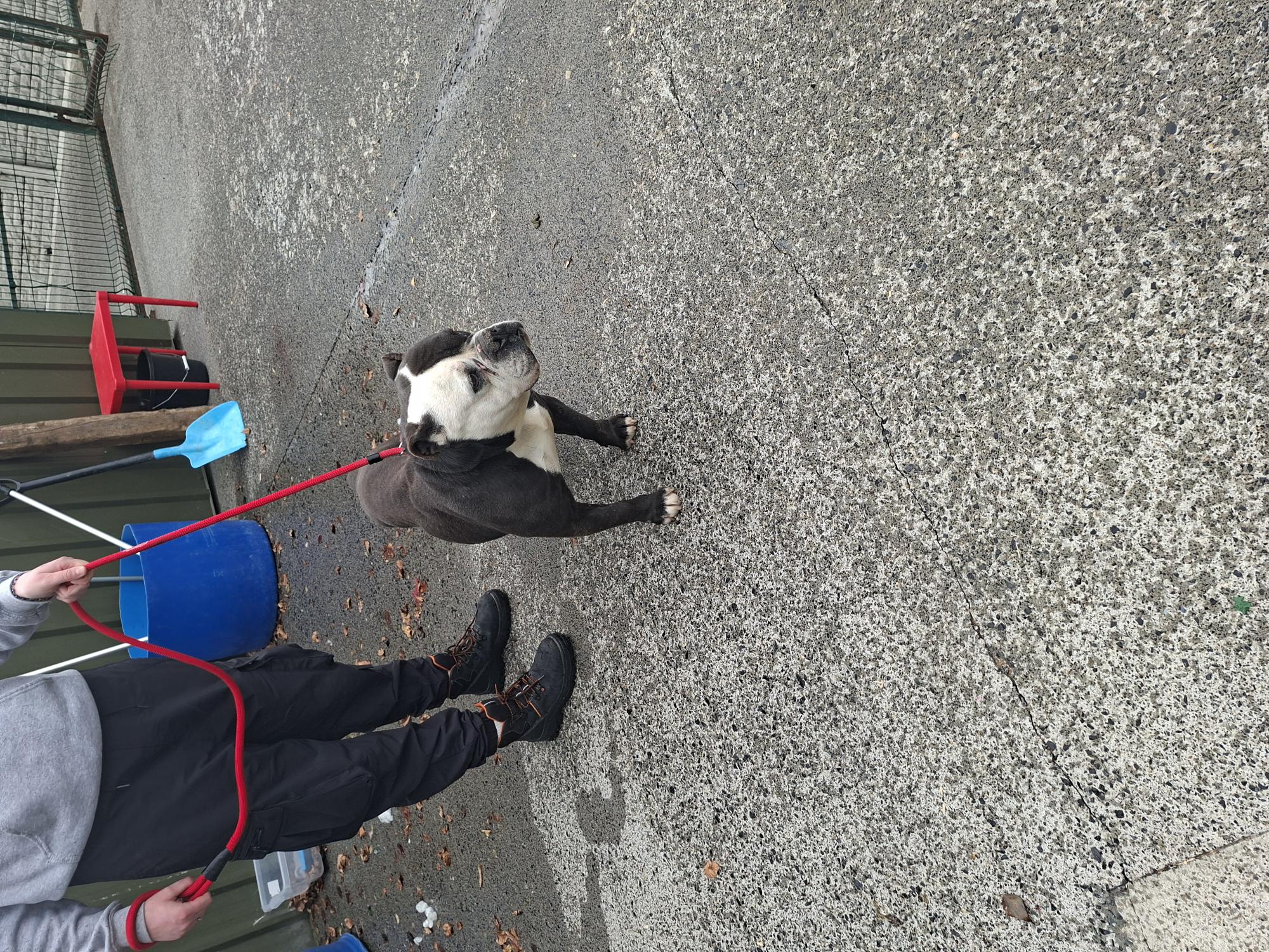 13-4-26-Ballyowen-Lane-Lucan