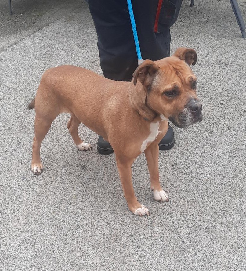 18-02-26-Citywest-Saggart-