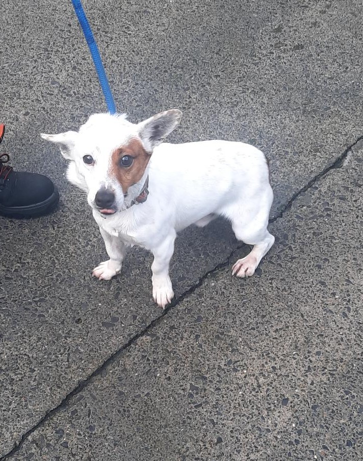 18-11-25-Mount-Venus-2