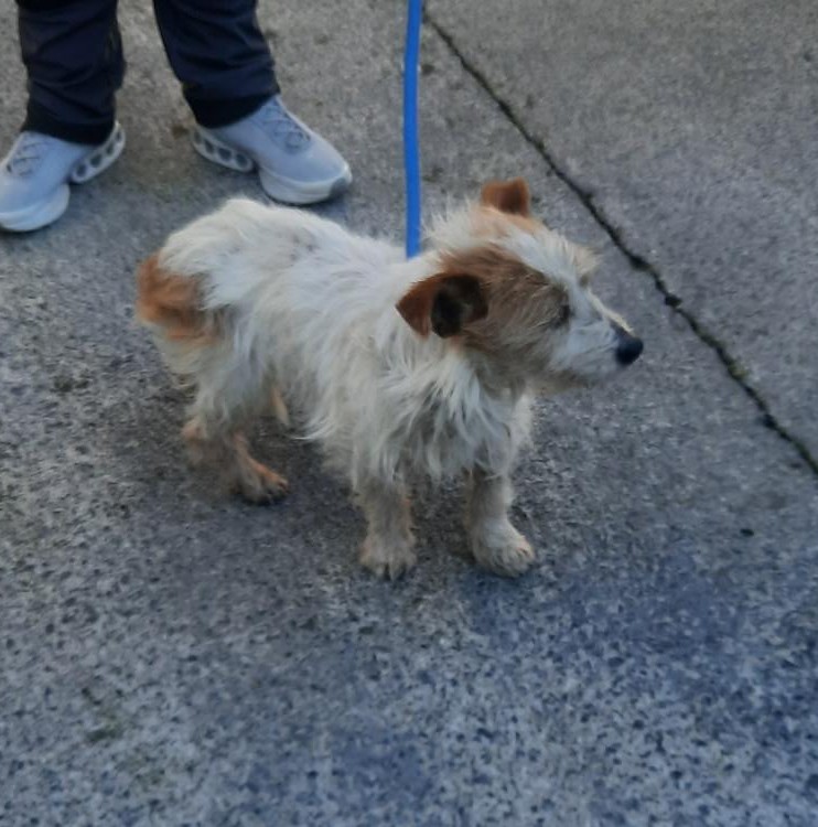 19-11-25-Roadstone-Belgard-Rd.