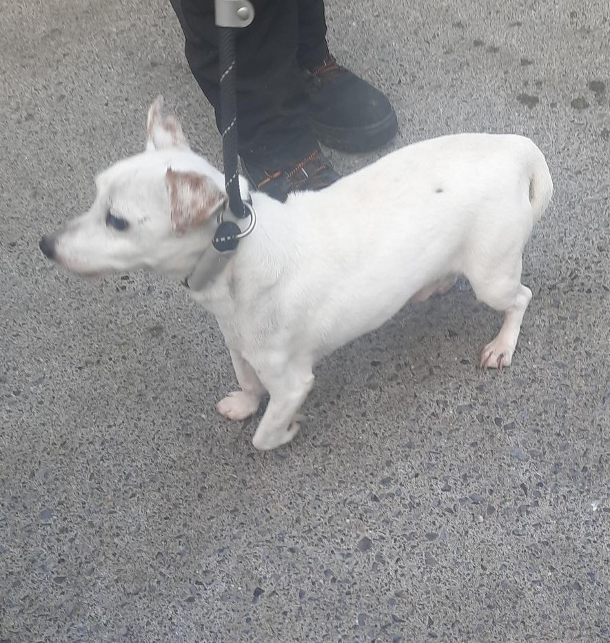 20-02-26-Tallaght-Village--Copy-1