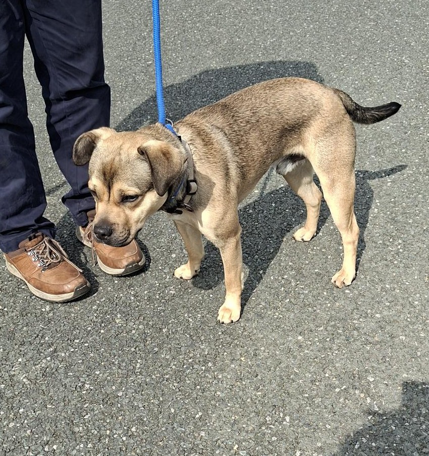 21-04-26-Millford-Manor-Clondalkin-