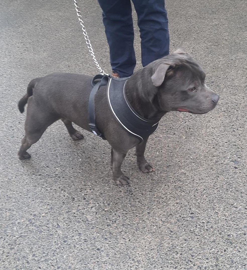 23-02-26-Clondalkin-Garda-Station