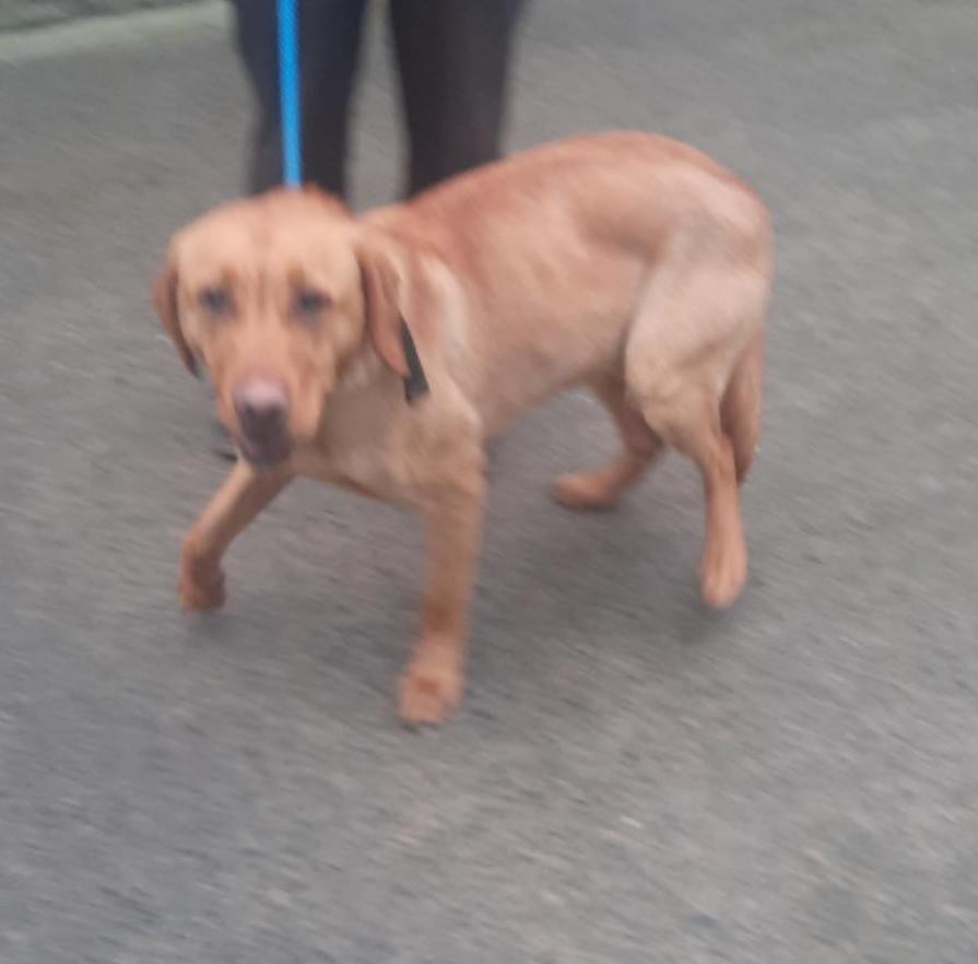 23-12-12-Walkinstown-Terenure-