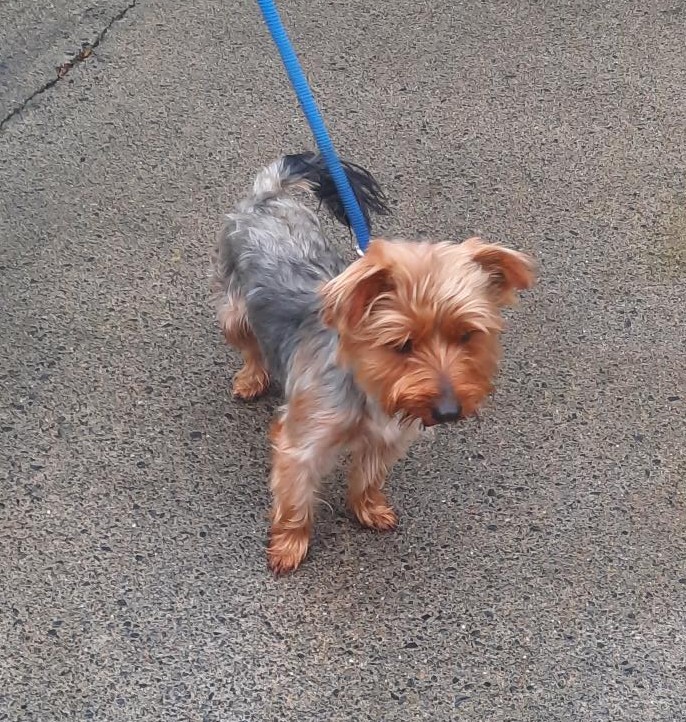 26-11-25-Belgard-Luas-Village-Vet