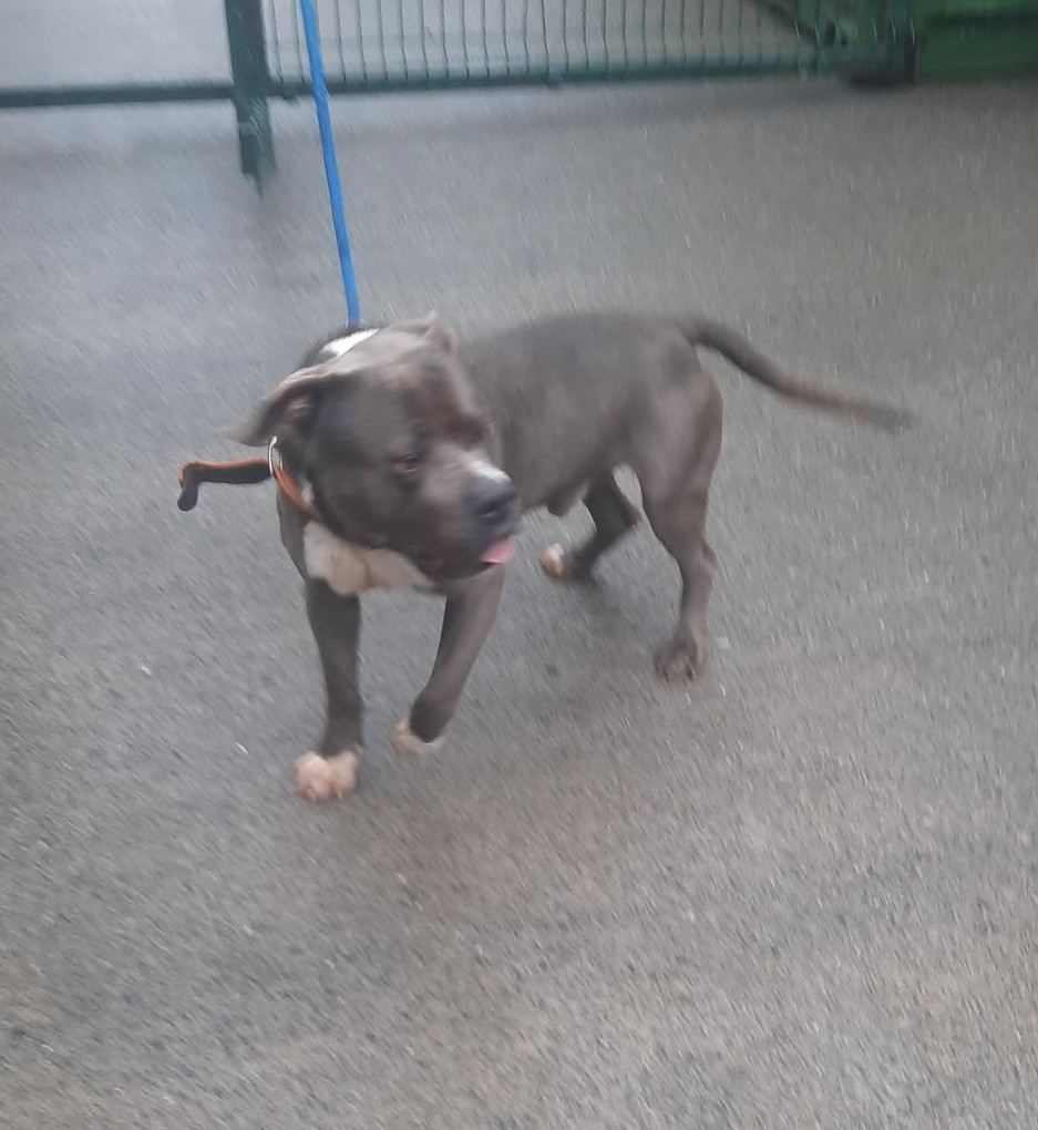 26-11-25-Firhouse-Road