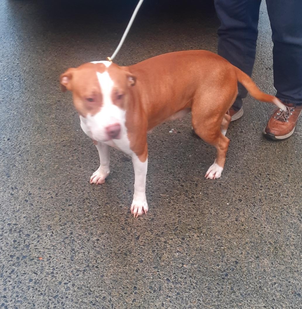 27-01-26-Bawnogue-Clondalkin