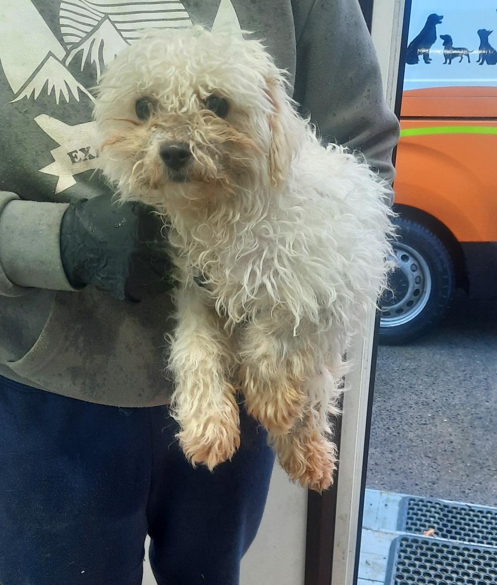 27-01-26-Hallwell-Adamstown-Lucan-