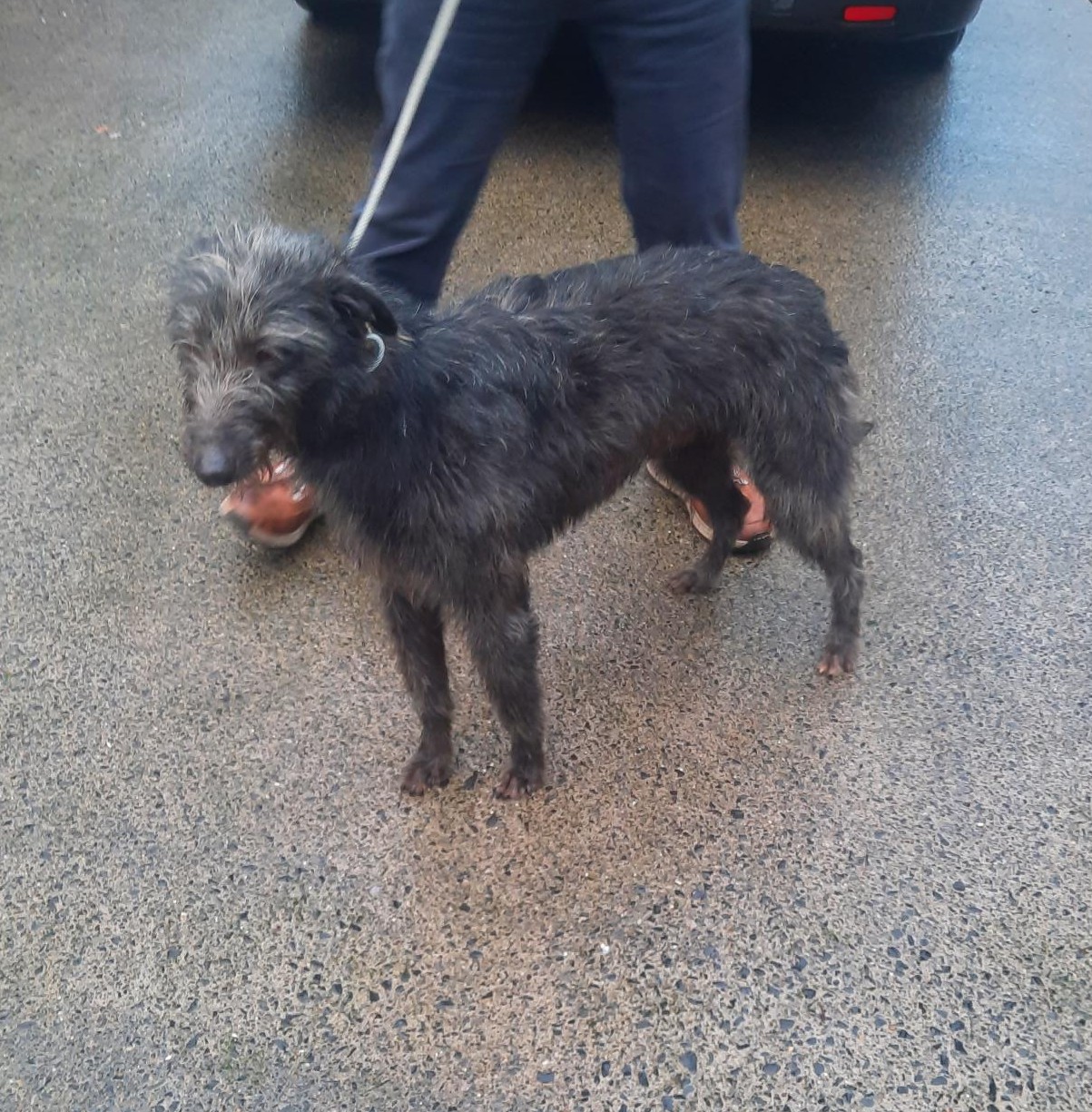 27-01-26-Kilakee-Rathafrnahm-1