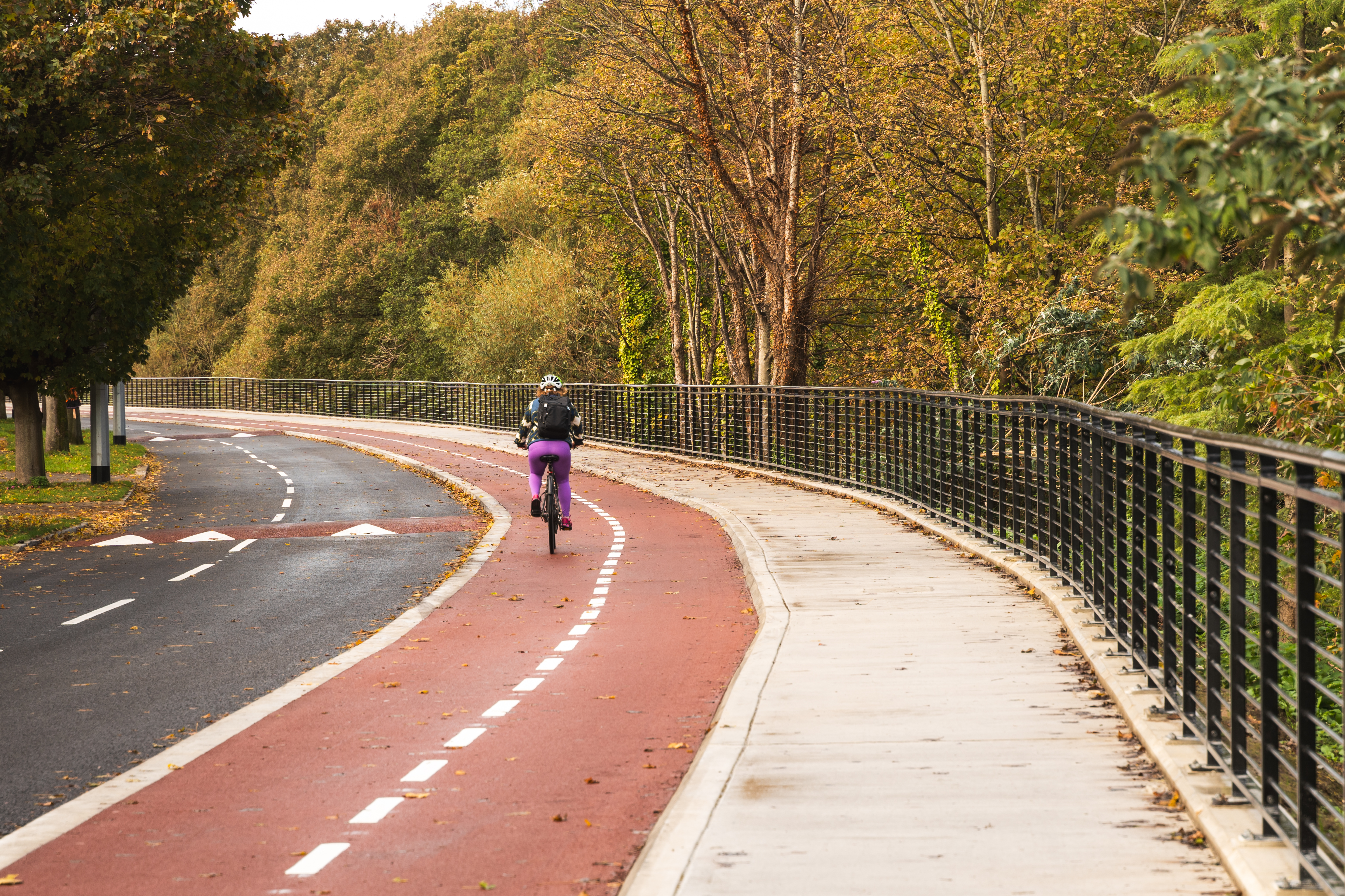 Dodder-Road-Lower-Cyclist